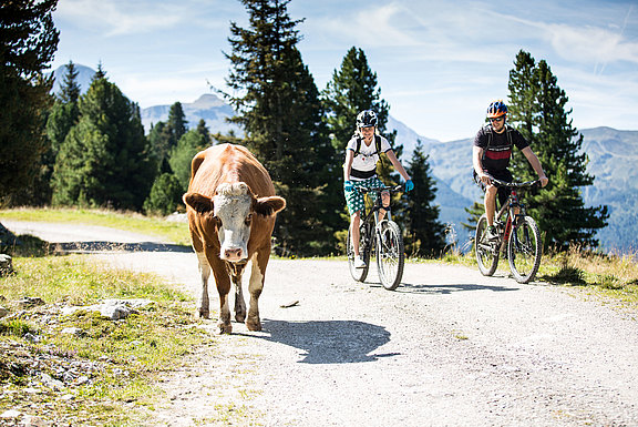 Biketrail Gerlos